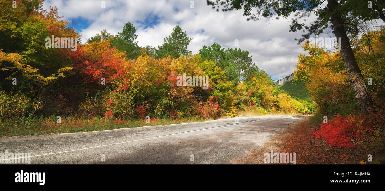 Asphalt Road path walkway through beautiful autumn forest. Panoramic composition Stock Photo
