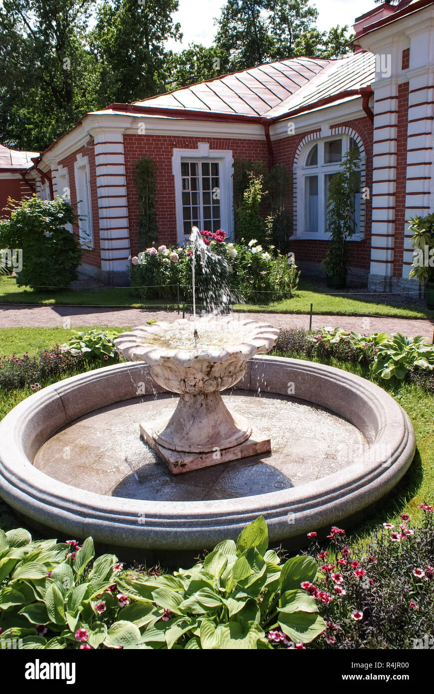 petstock water fountain