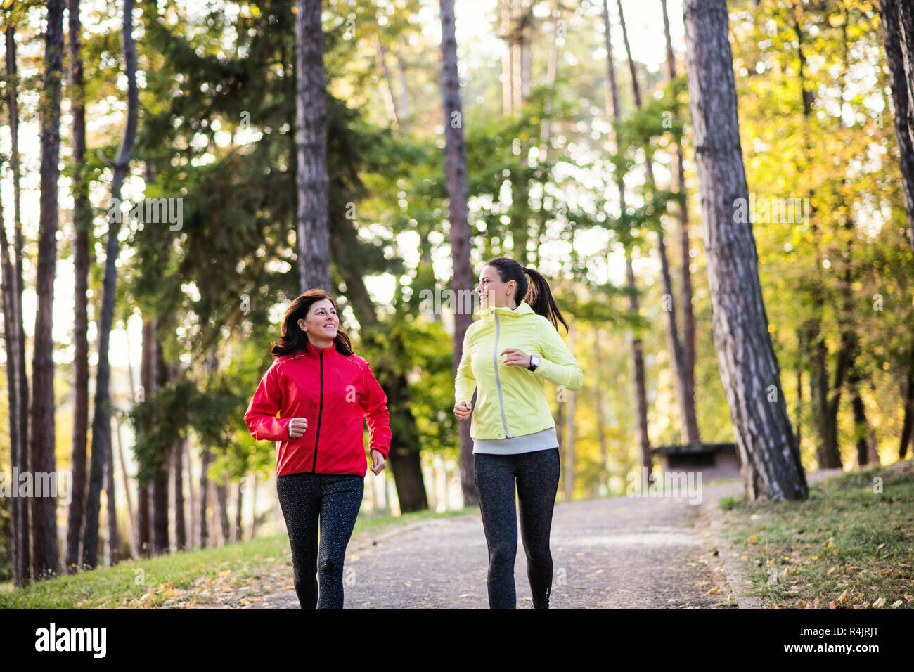 Two female runners jogging outdoors in forest in autumn nature. Stock Photo