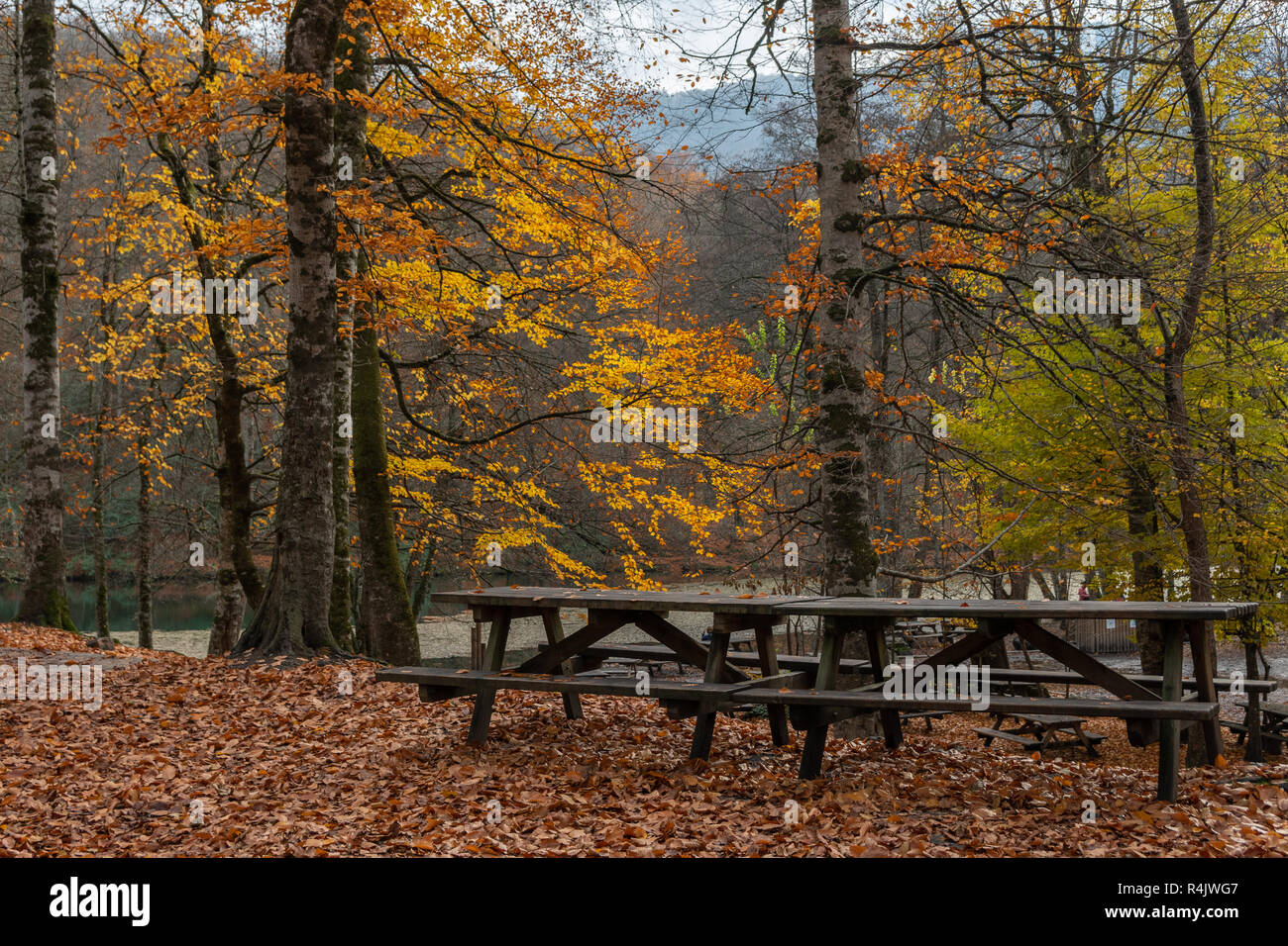 Yedigoller Nature Park Bulu, Turkey Stock Photo