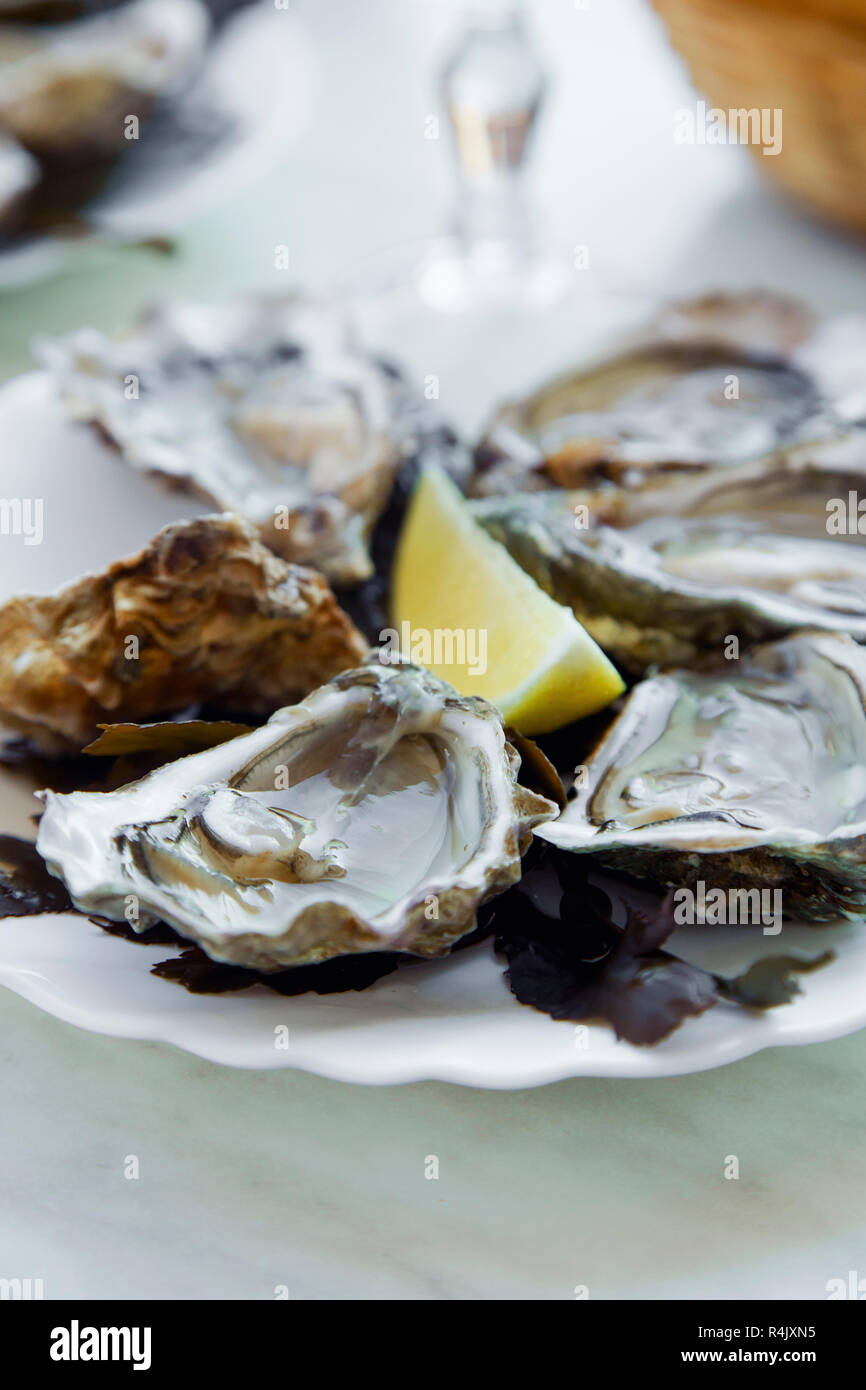 Raw oyster restaurant france hires stock photography and images Alamy