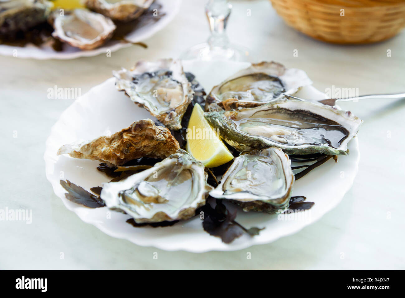 Raw oysters served in a french restaurant with lemon slices, wine