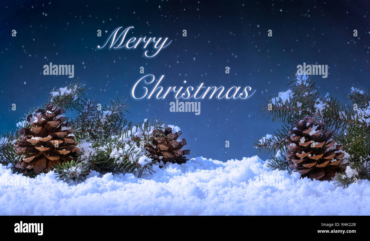 Holiday winter night scene with pine cones and evergreen tree branches ...