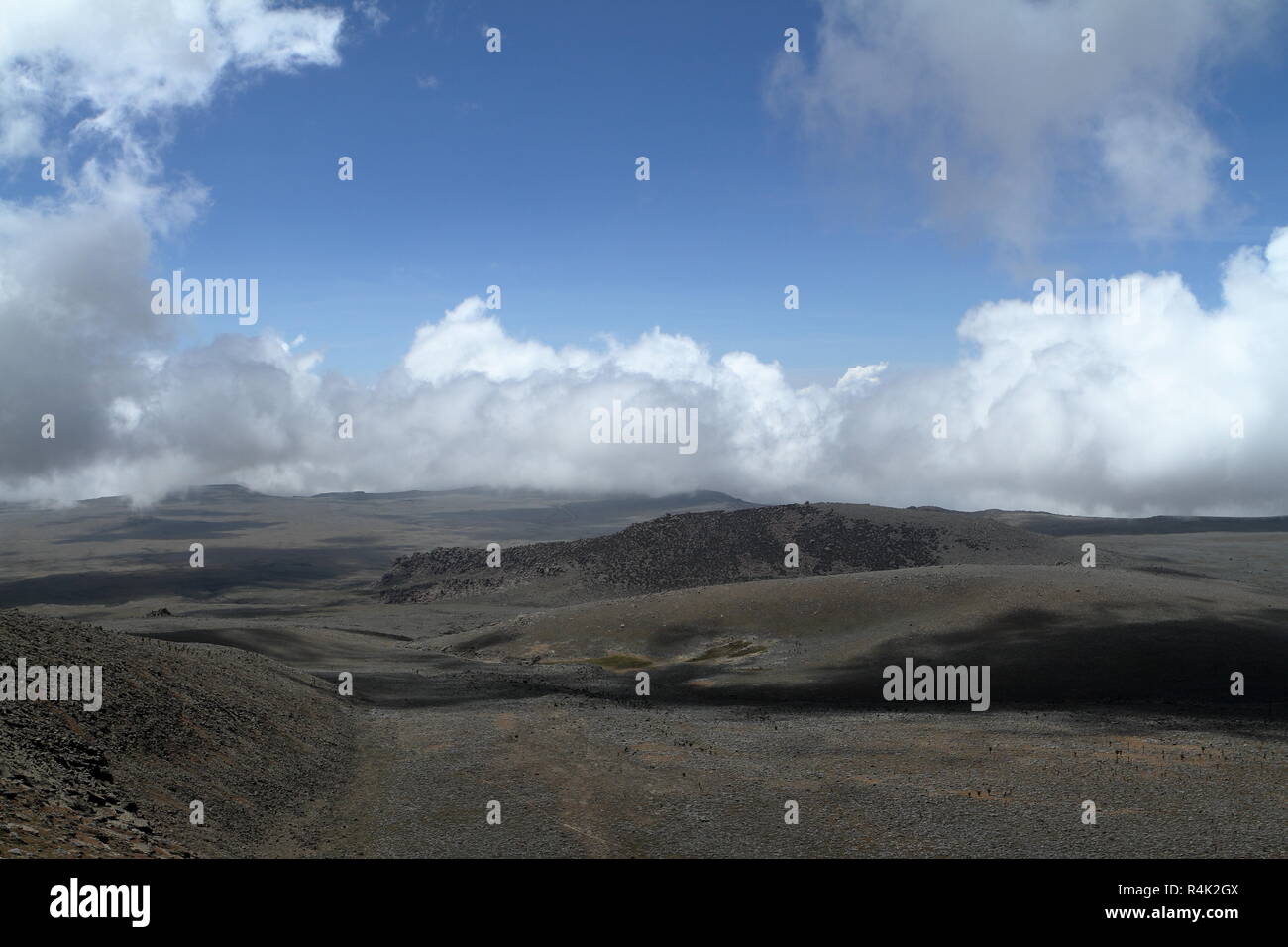 on the high plateau of the bale mountains in ethiopia Stock Photo