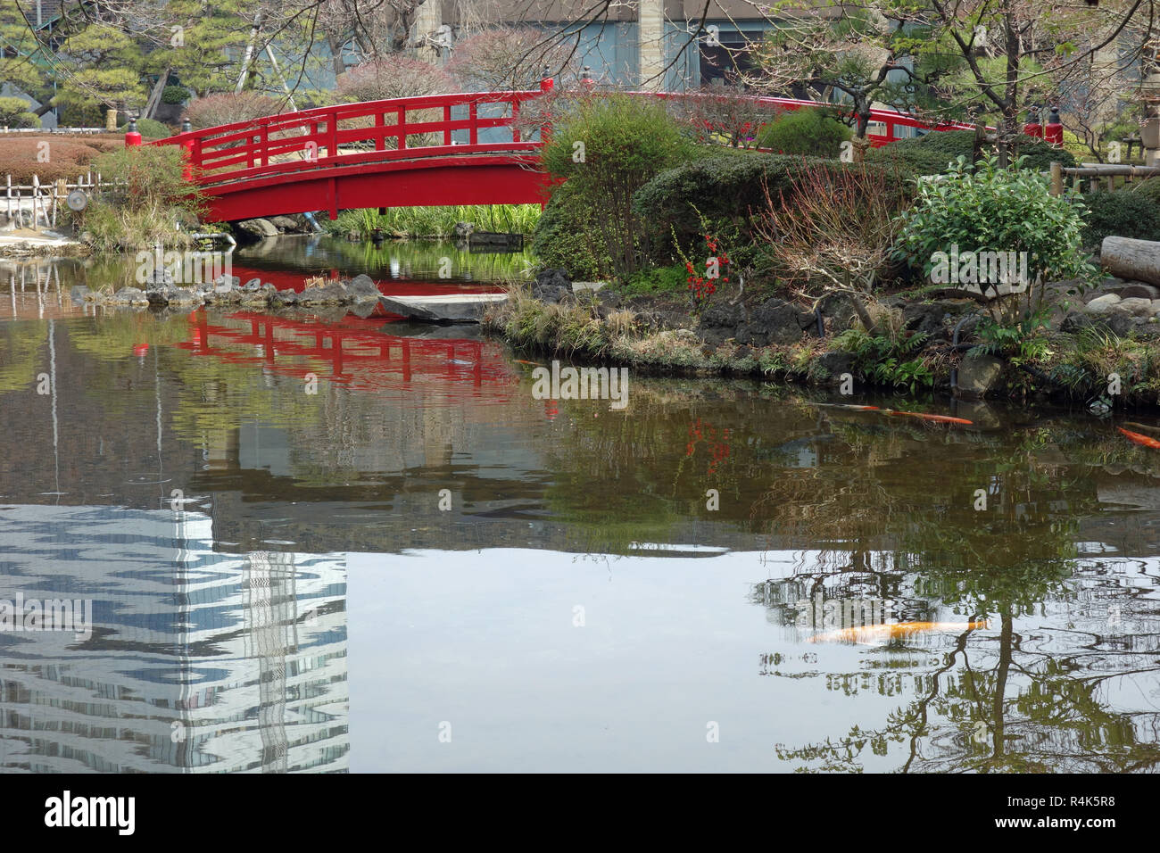 red bridge in a japanese garden Stock Photo - Alamy