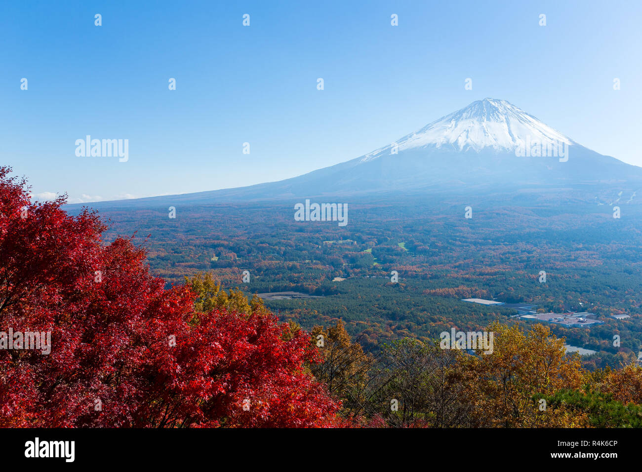 Narusawamura hi-res stock photography and images - Alamy