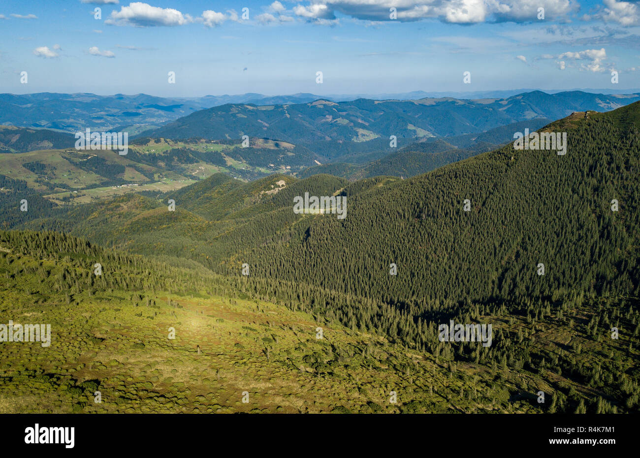 Forest growing on mountains aerial hi-res stock photography and images ...