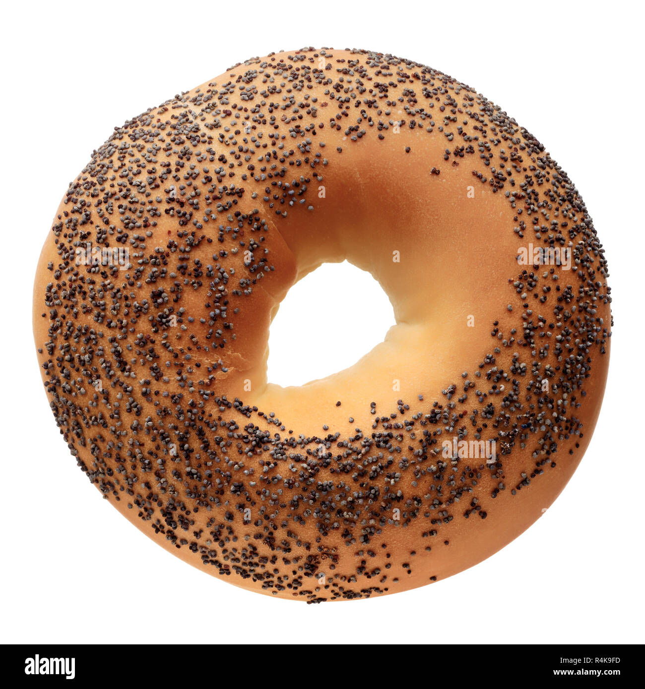 Food: single bagel with poppy seeds, isolated on white background Stock Photo
