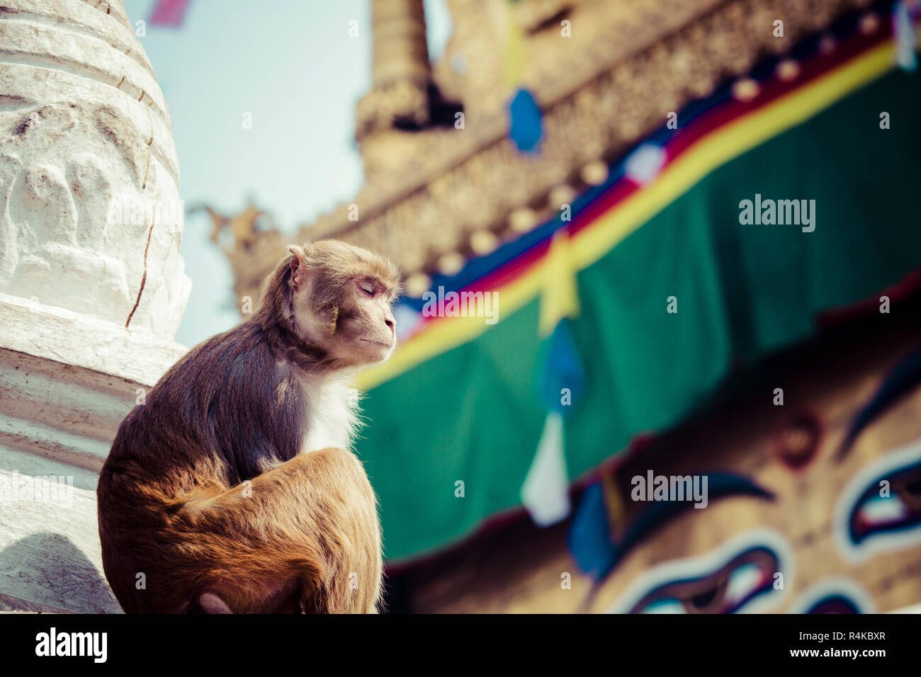 Stupa in Swayambhunath Monkey temple in Kathmandu, Nepal Stock Photo ...