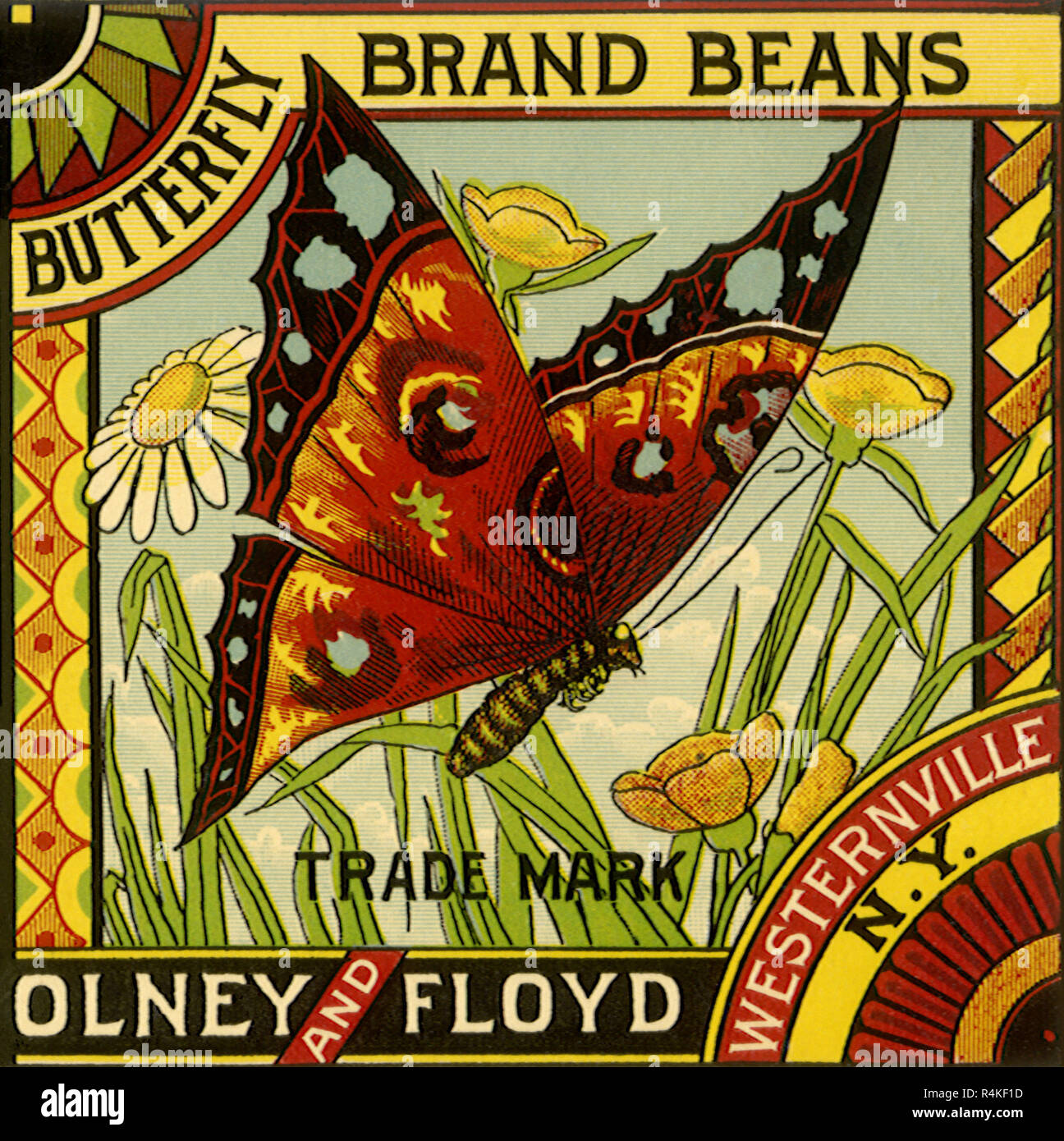 Butterfly Bean Label. Stock Photo