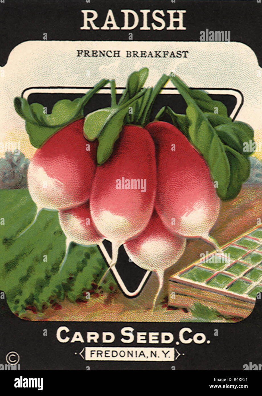 Radish Seed Packet Stock Photo - Alamy