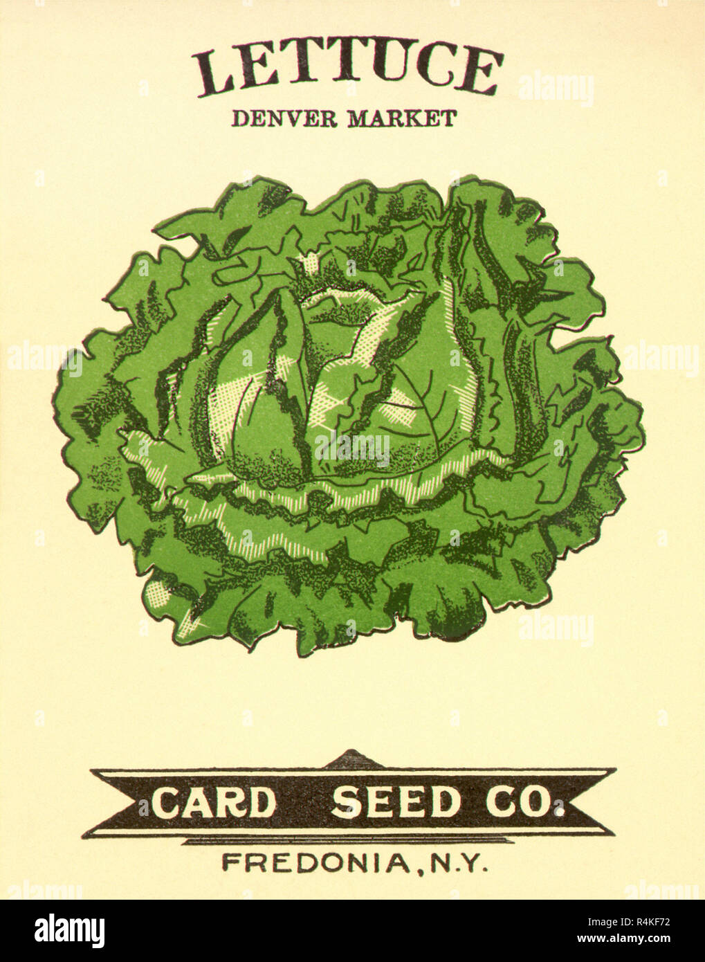 Lettuce Seed Packet Stock Photo Alamy