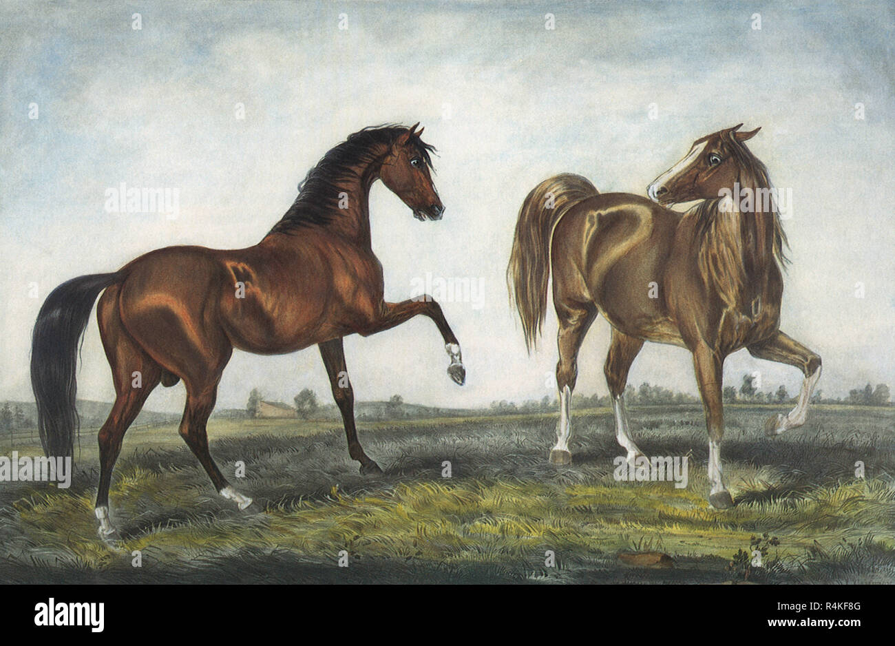 Brown, Lt. Brown Horses, Currier, Nathaniel & Ives, Jam. Stock Photo