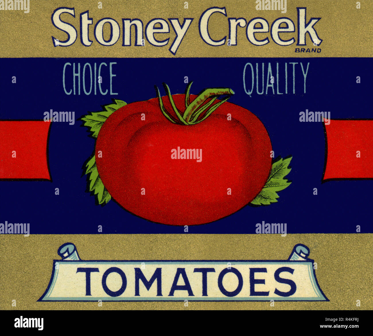 Tomato. Stock Photo