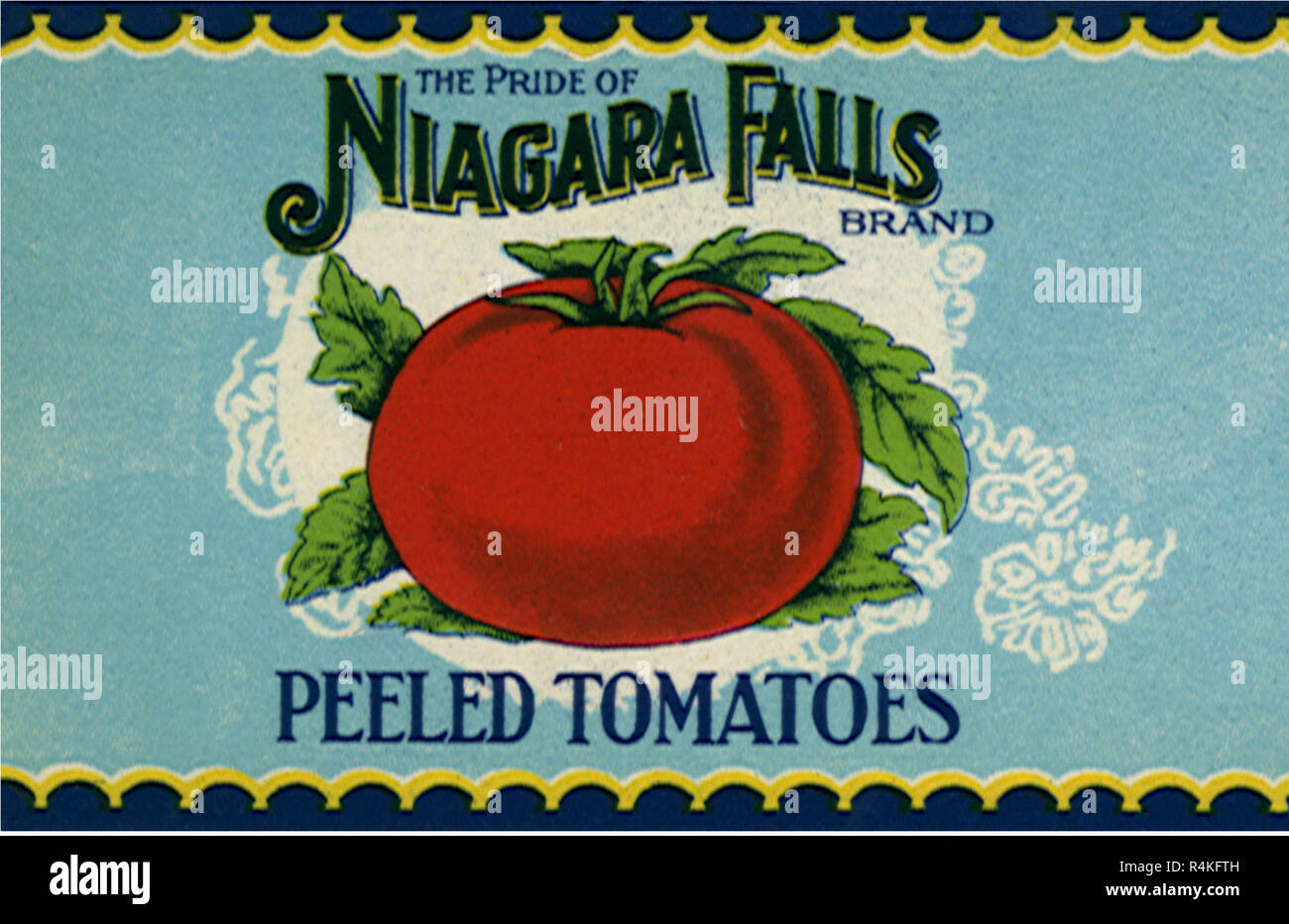 Tomato. Stock Photo