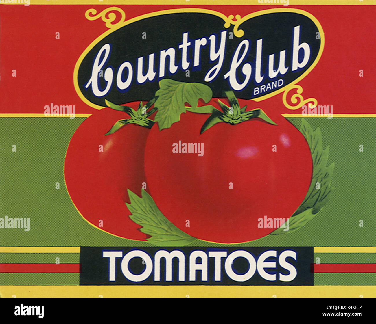 Tomatoes. Stock Photo