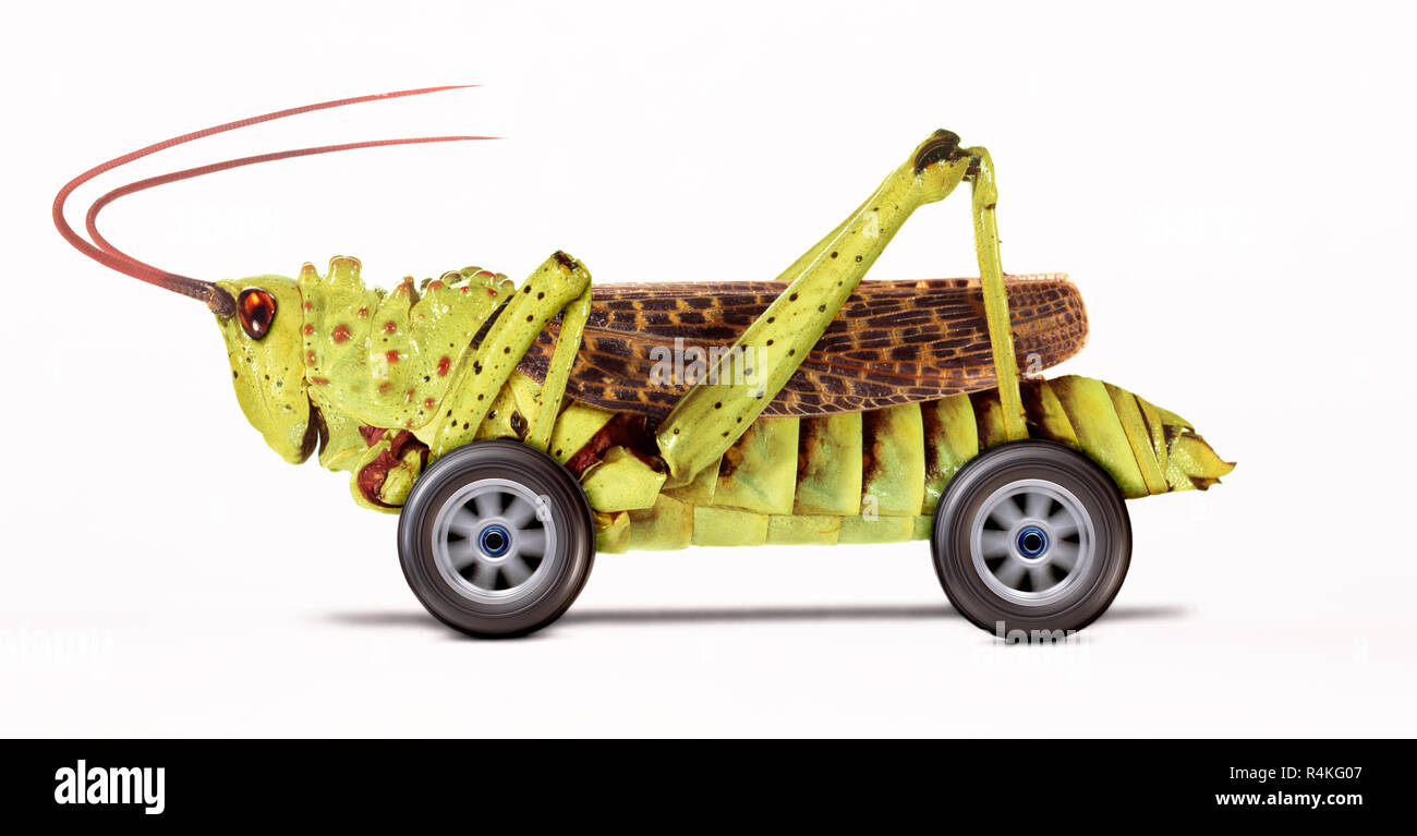 Speeding grasshopper on wheels Stock Photo