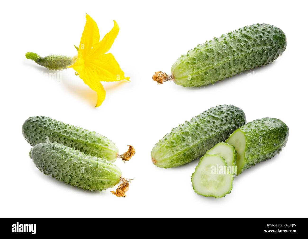 Cucumbers isolated on white background with clipping path. Stock Photo
