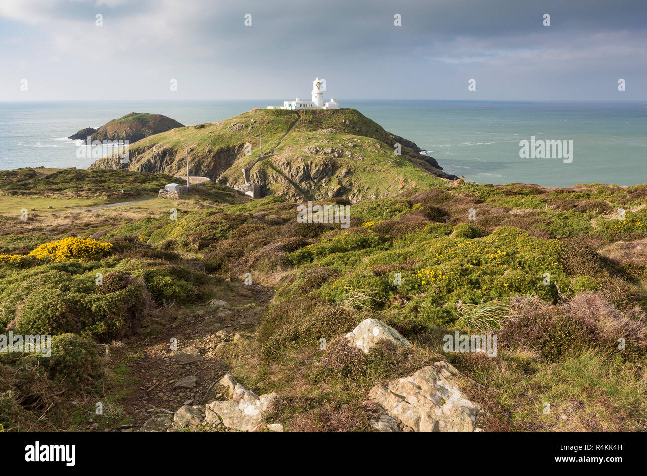 Strumble Head lighthouse on the rocky coast of Pembrokeshire, Wales with Irish Sea / Celtic Sea Stock Photo