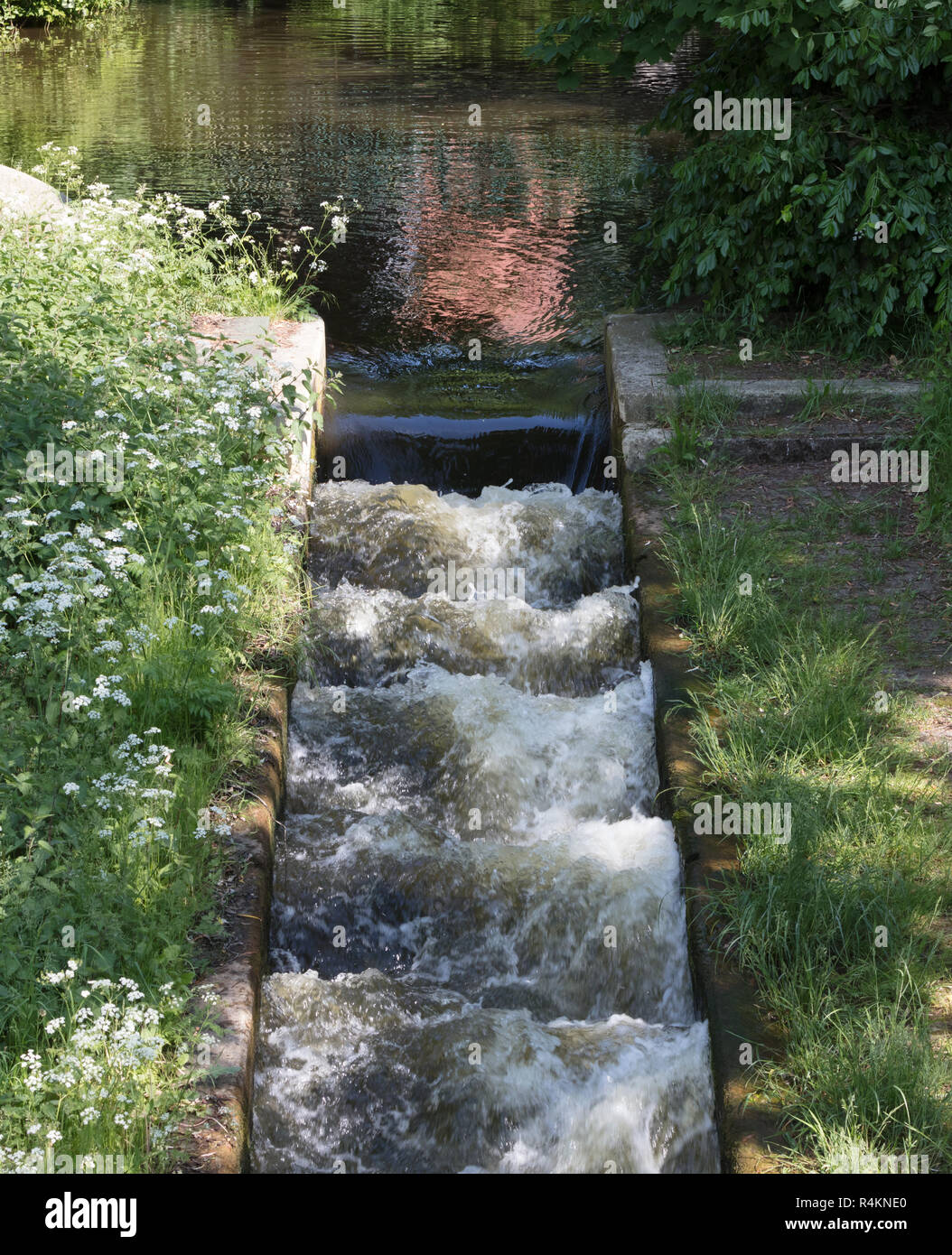 Narrow stream small canal hi-res stock photography and images - Alamy
