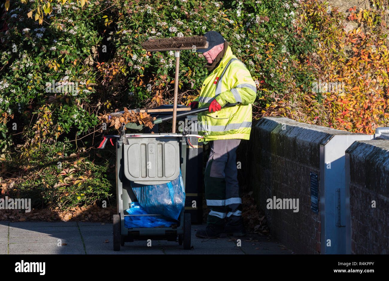 Biffa worker clearing up fallen Autumn leaves in West Sussex, England, UK. Stock Photo