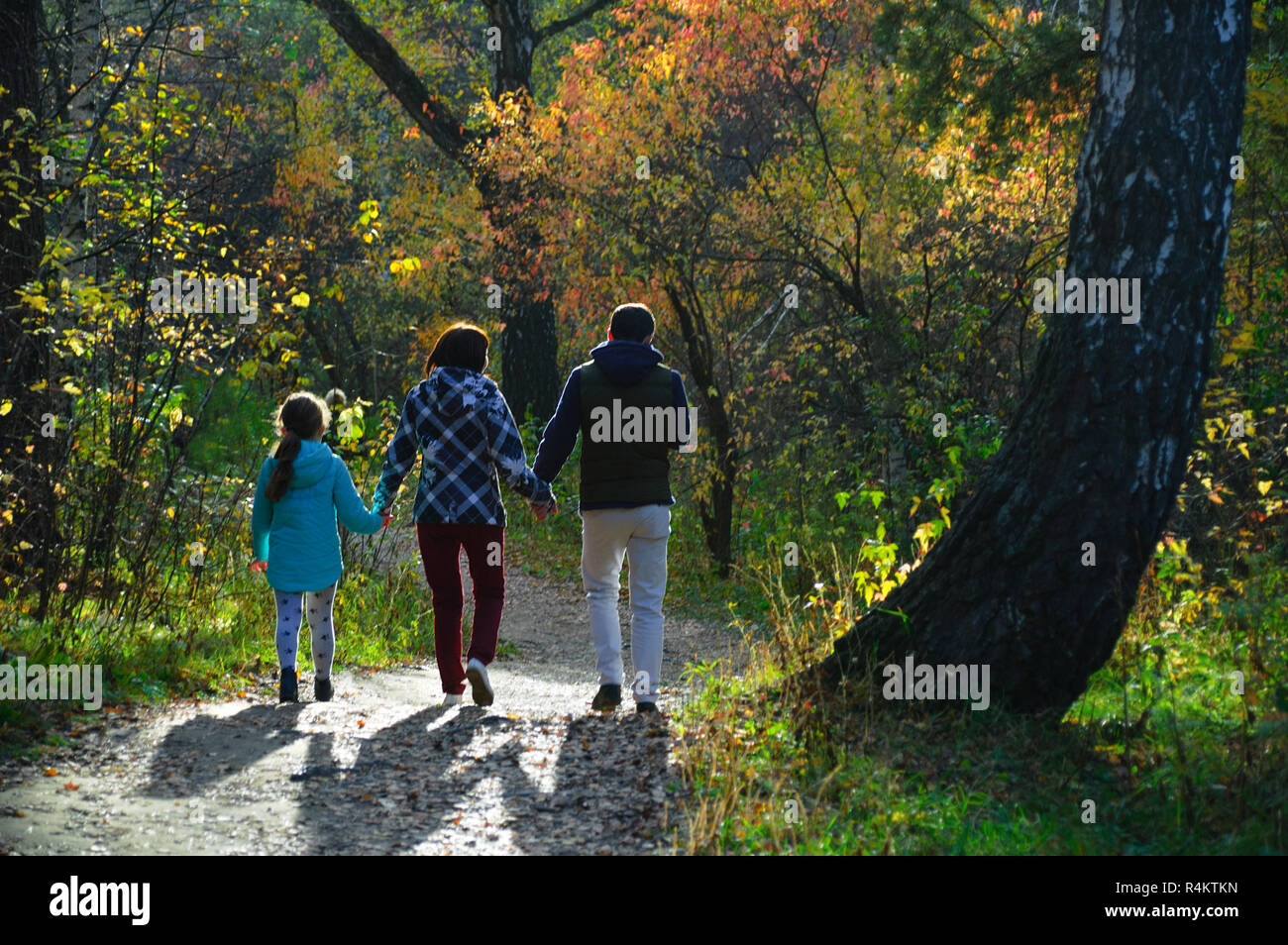 Family walks in the autumn forest Stock Photo - Alamy