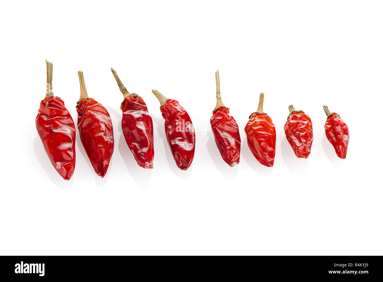 Red chili peppers on a white background Stock Photo - Alamy