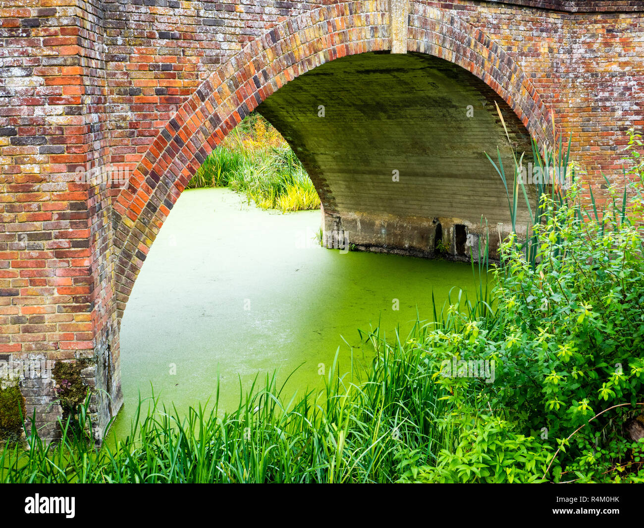 Brick Bridge over Green Algae, Strand Water, Cookham Moor, Cookam, Berkshire, England, UK, GB. Stock Photo