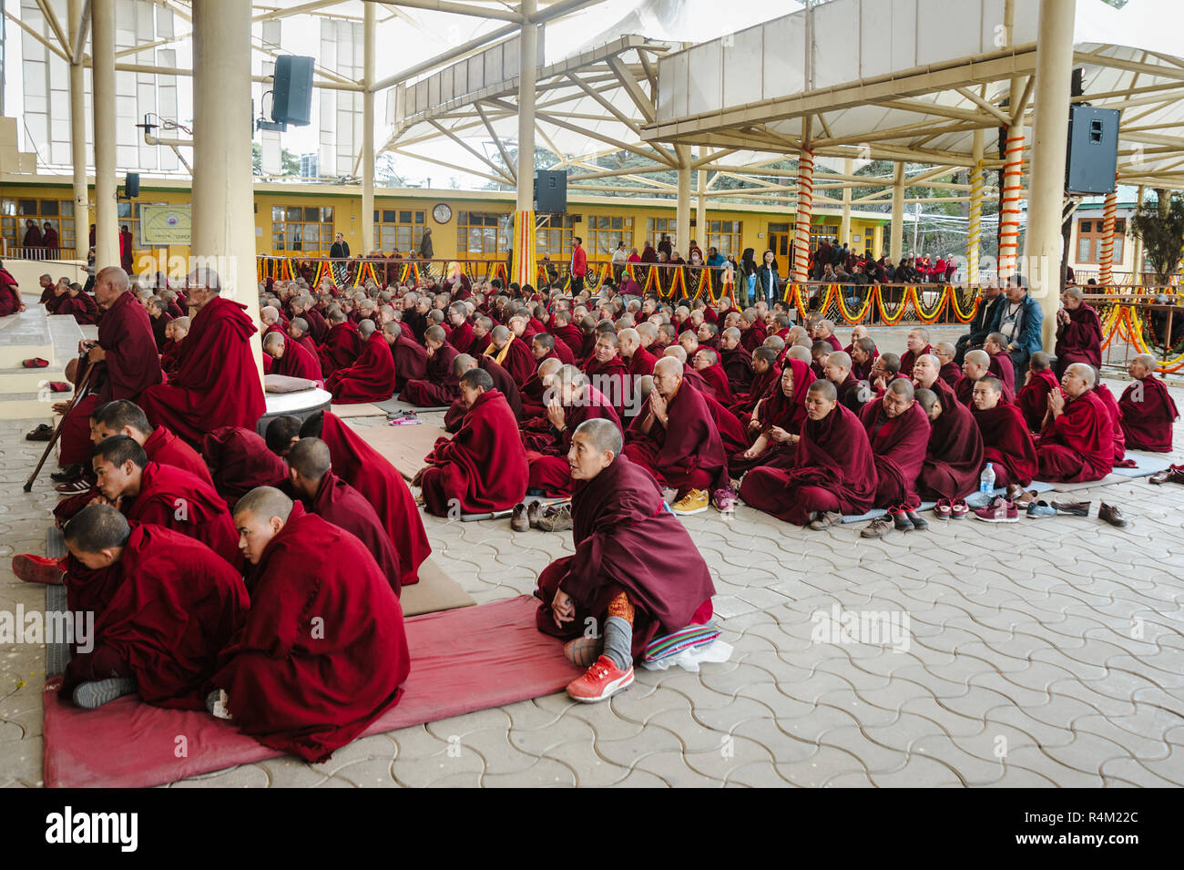big group of tibetan buddhist monks is on learning meditation practice. 2 february 2018 India
