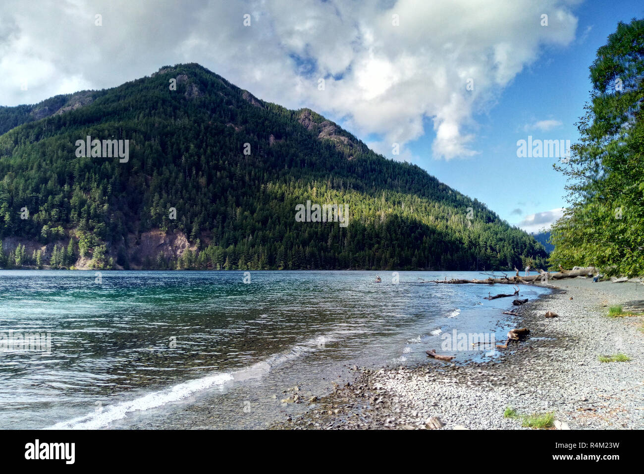 Blue water in a forest lake with pine trees Stock Photo - Alamy