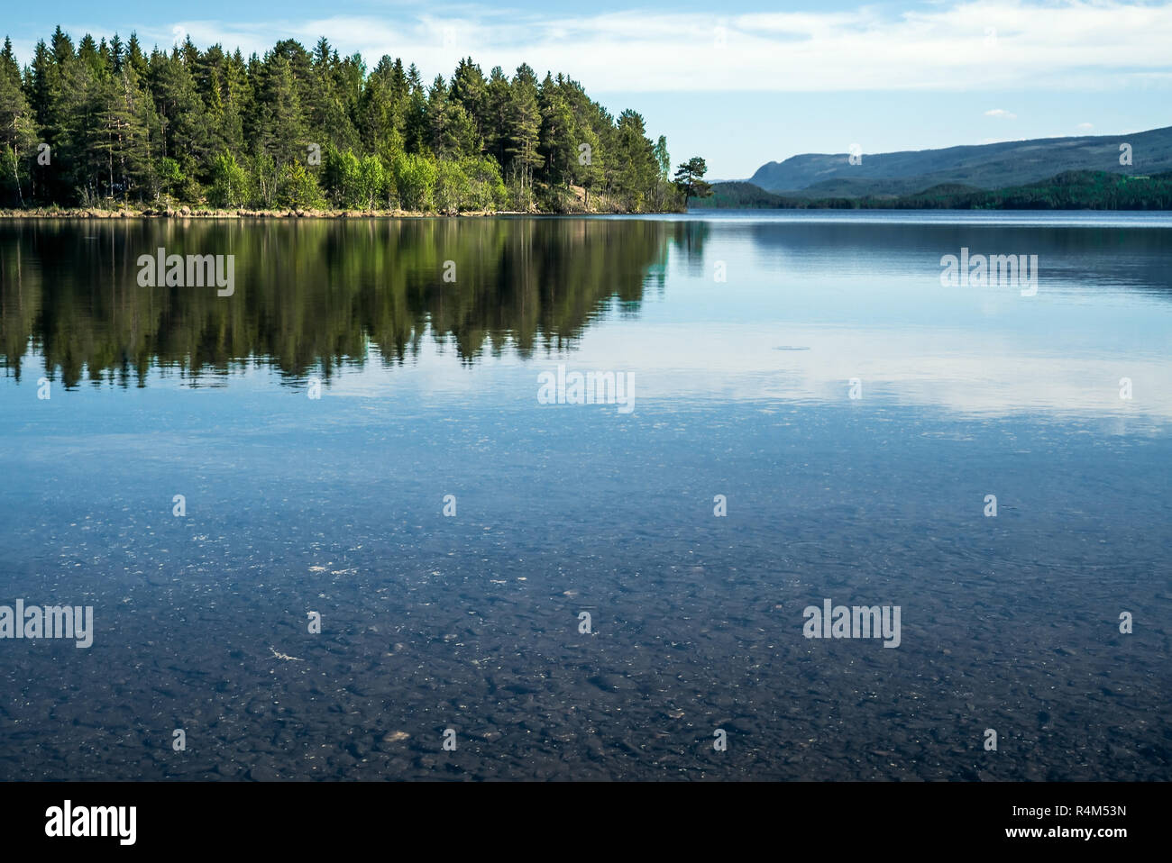 A quiet peaceful summer morning with view over crystal clear calm lake with pebbles in the bottom and green forest reflected on the water surface Stock Photo