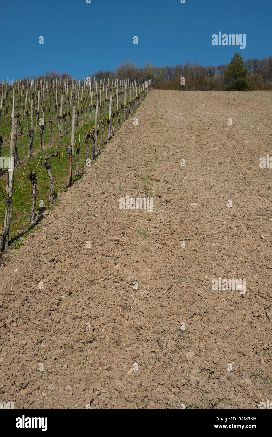 Parcell Image Land parcel hi-res stock photography and images - Alamy
