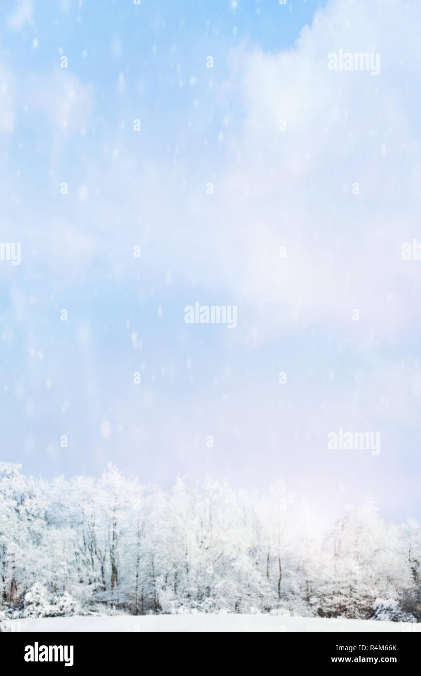 Snow falling softly against a blurred background of winter landscape of snow covered trees with large expanse of sky. Stock Photo