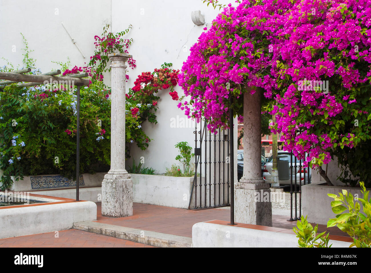 A flowery garden in Lisbon Stock Photo Alamy