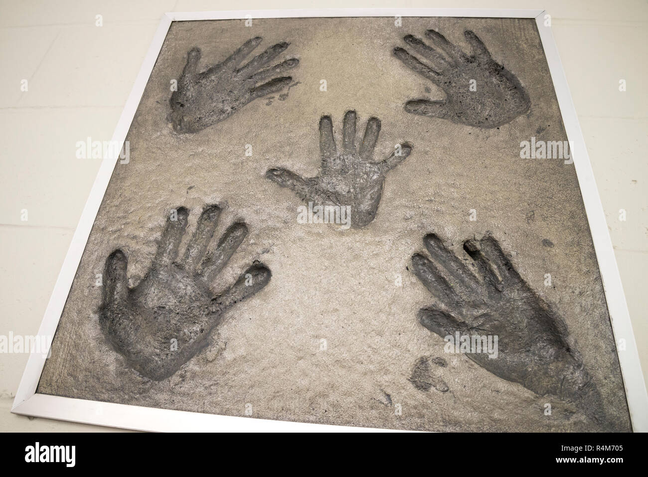 Legacy Park is a huge public facility in Alachua, Florida. Public artwork  of hands on display inside the venue Stock Photo - Alamy