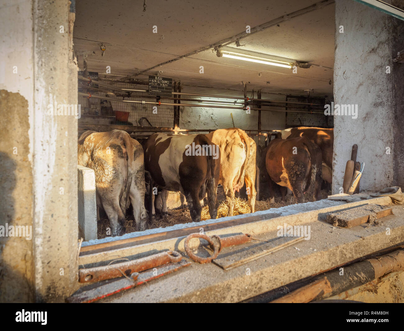 Old dairy farm hires stock photography and images Alamy
