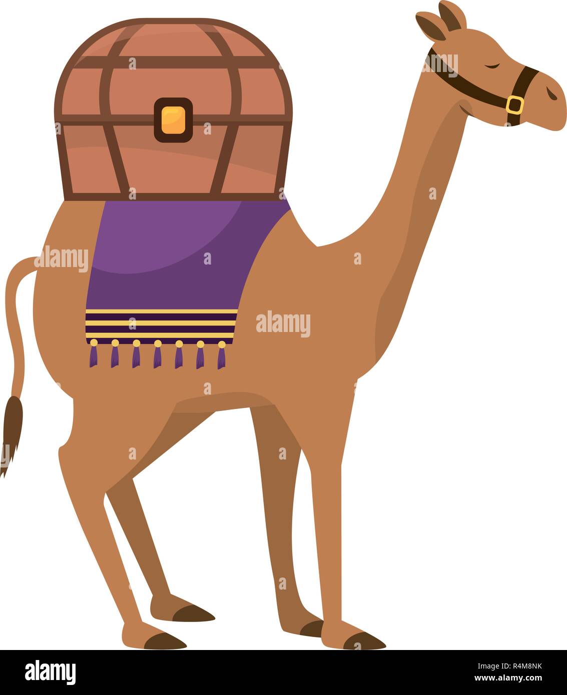 mammal camel animal with chest vector illustration graphic design Stock ...