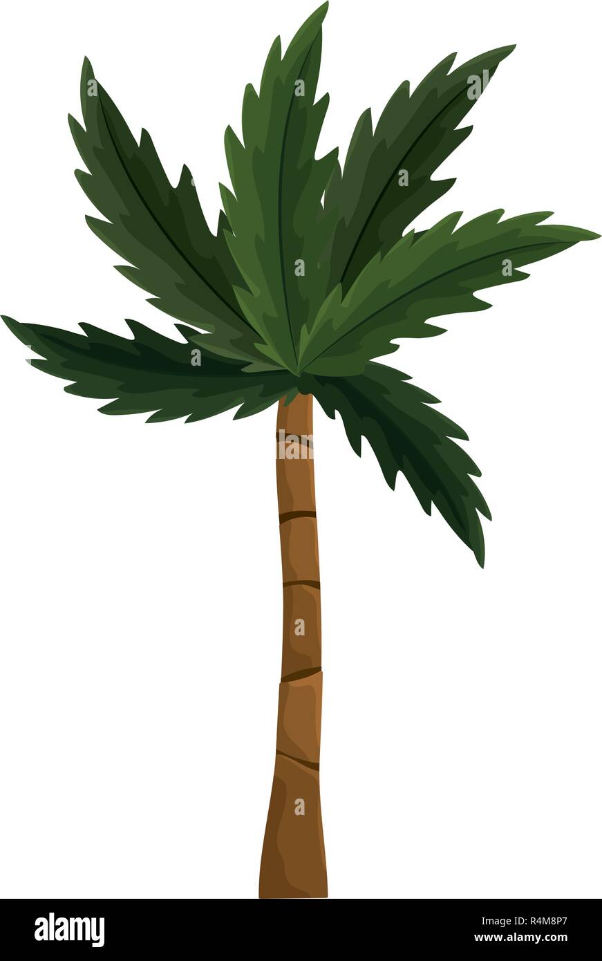 palm tree cartoon vector illustration graphic design Stock Vector Image
