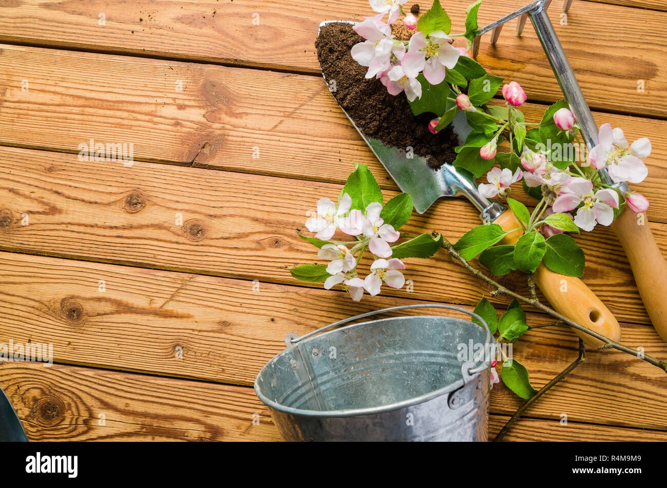 Branch of blossoming apple and garden tools on a wooden surface, close-up. Stock Photo