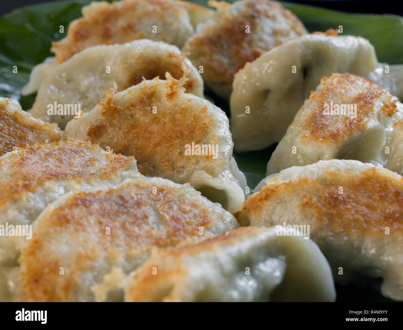 FRIED DUMPLINGS FILLED WITH MINCED CHICKEN AND SPRING ONION Stock Photo Alamy
