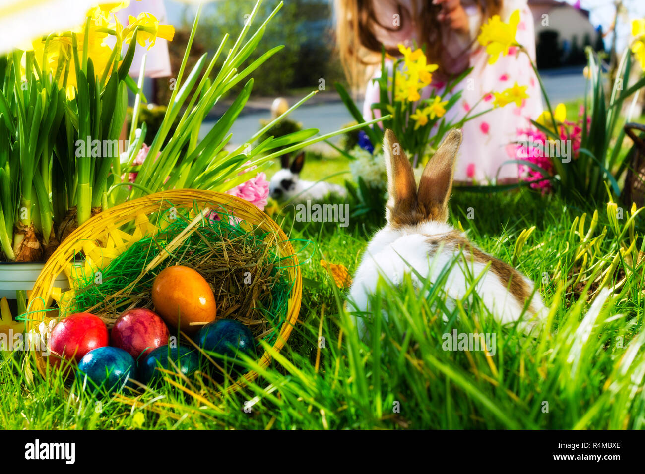 Easter bunny on meadow with basket and eggs Stock Photo Alamy