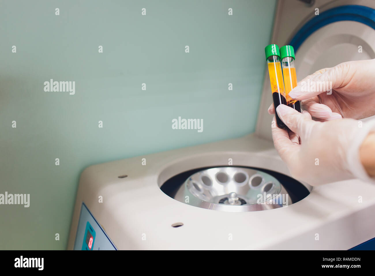 Medical laboratory centrifuge with test tubes with blood Stock Photo