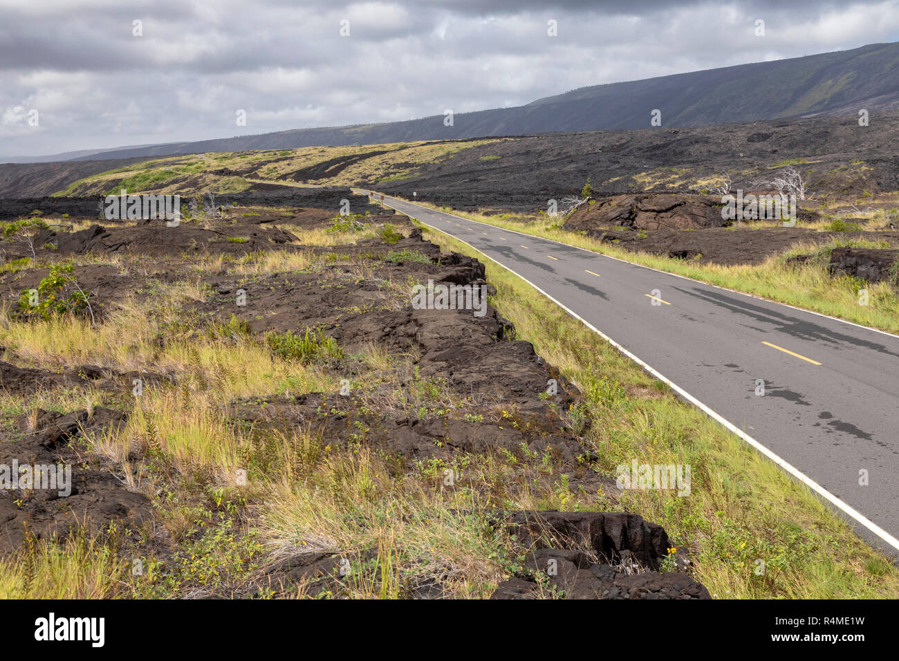Hawaii Volcanoes National Park, Hawaii - Chain of Craters Road through lava beds near the Pacific coastline. Stock Photo