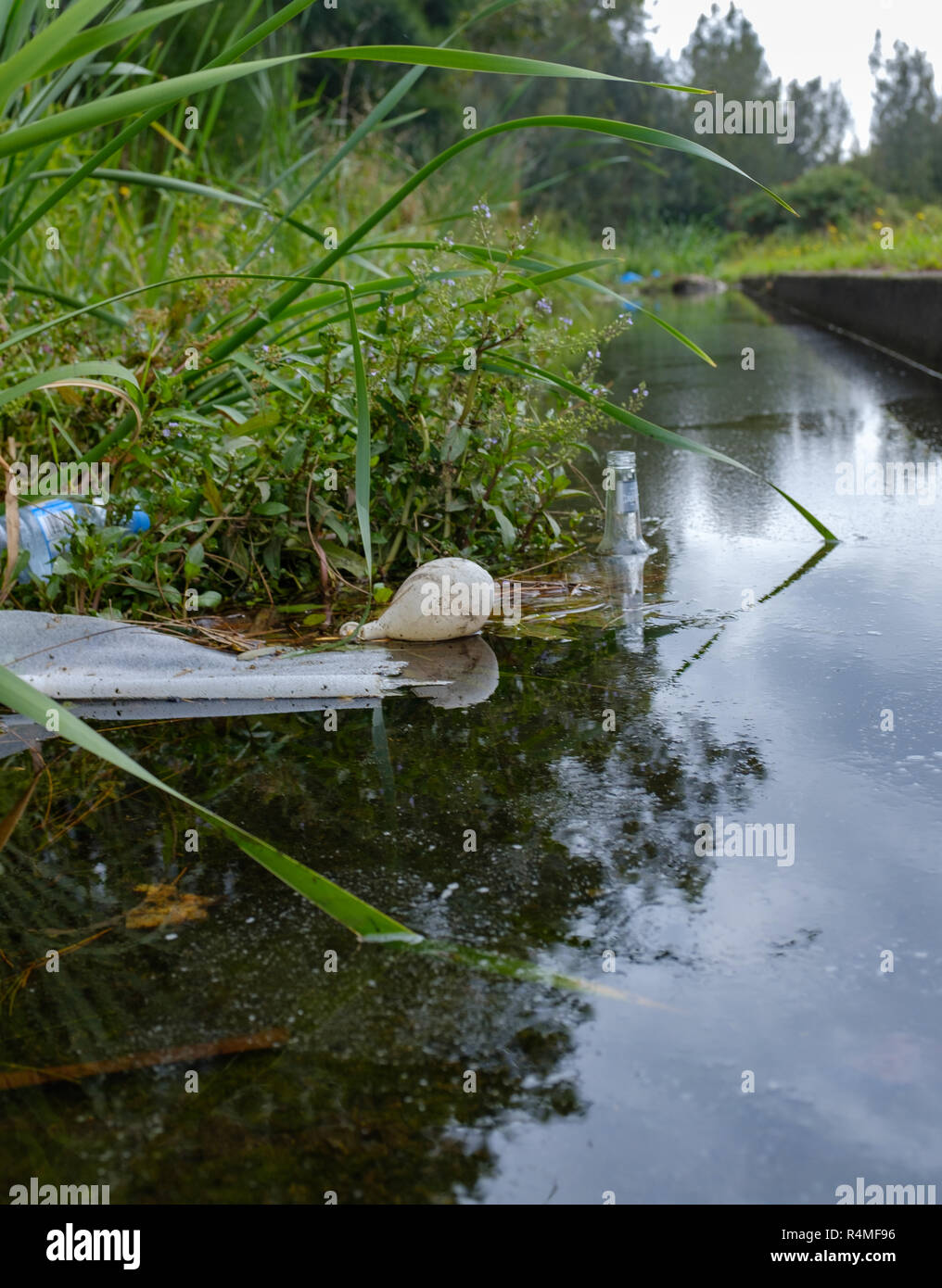 Litter and plastic discarded in open water way, old party balloon, coke can, single use plastic, glass bottle pollution causing environmental damage Stock Photo