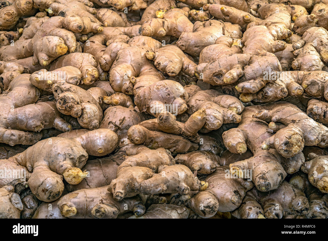 Ginger Family Roots Eats plant roots hi-res stock photography and images - Alamy