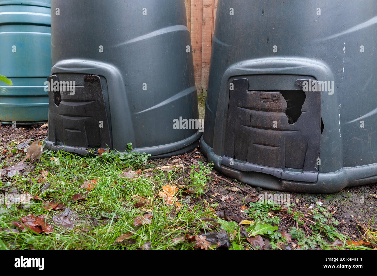 Garden nibbled leaves holes hires stock photography and images Alamy