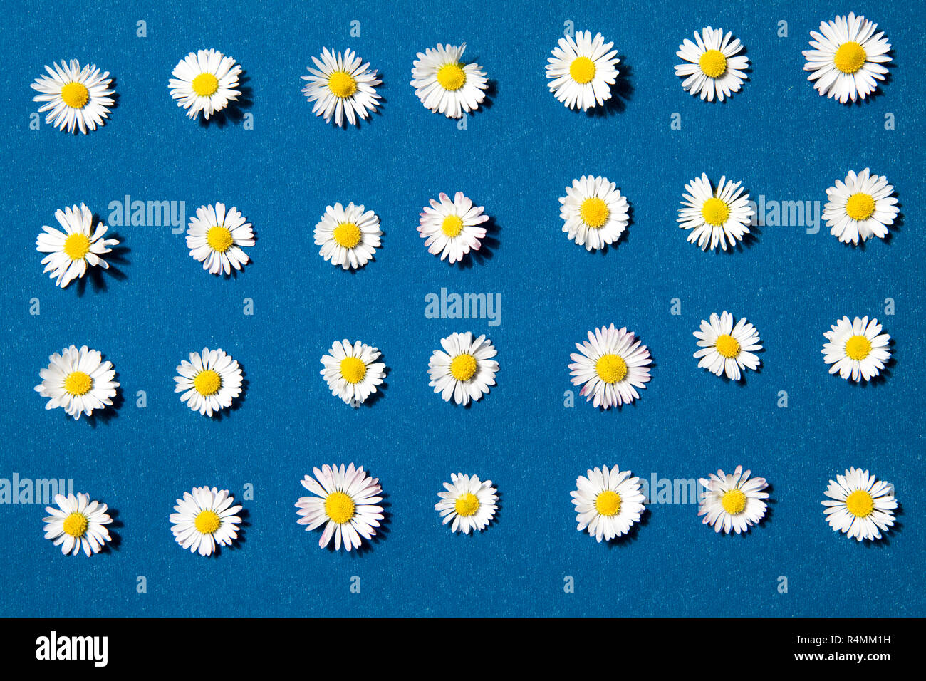 Aligned pattern hi-res stock photography and images - Alamy