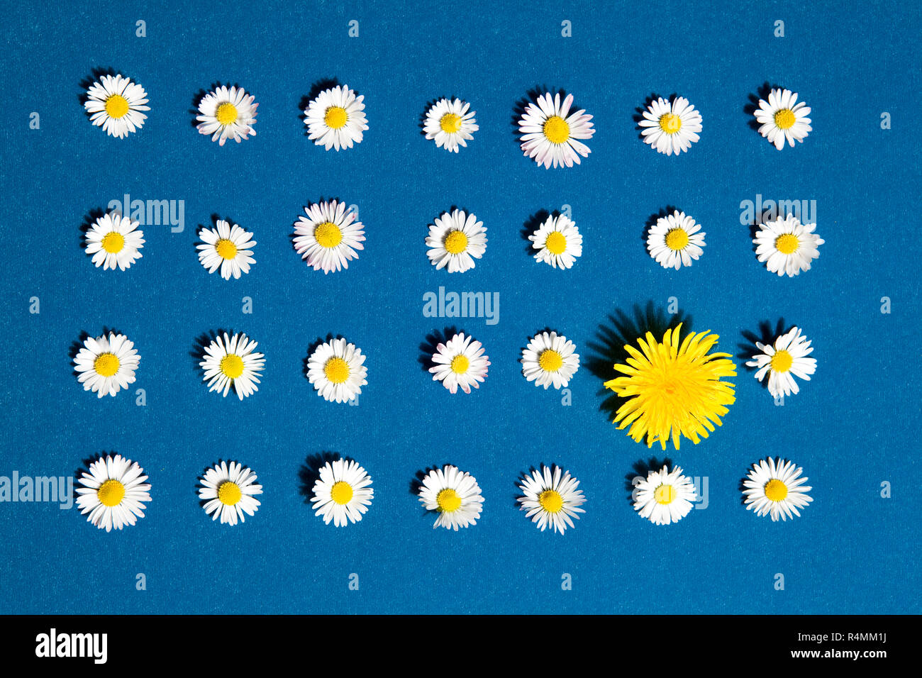 Aligned pattern hi-res stock photography and images - Alamy