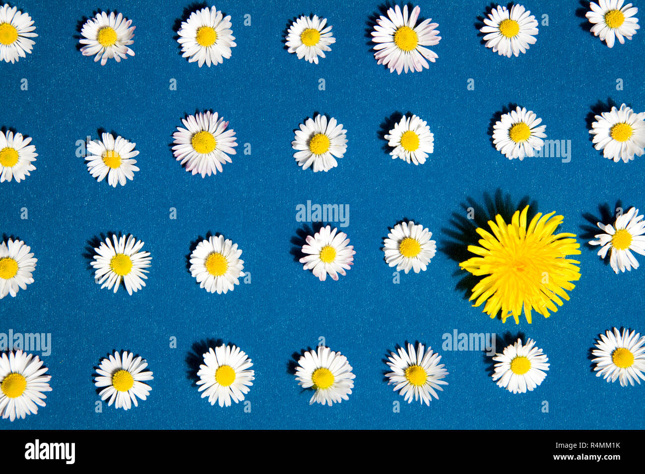 Aligned pattern hi-res stock photography and images - Alamy