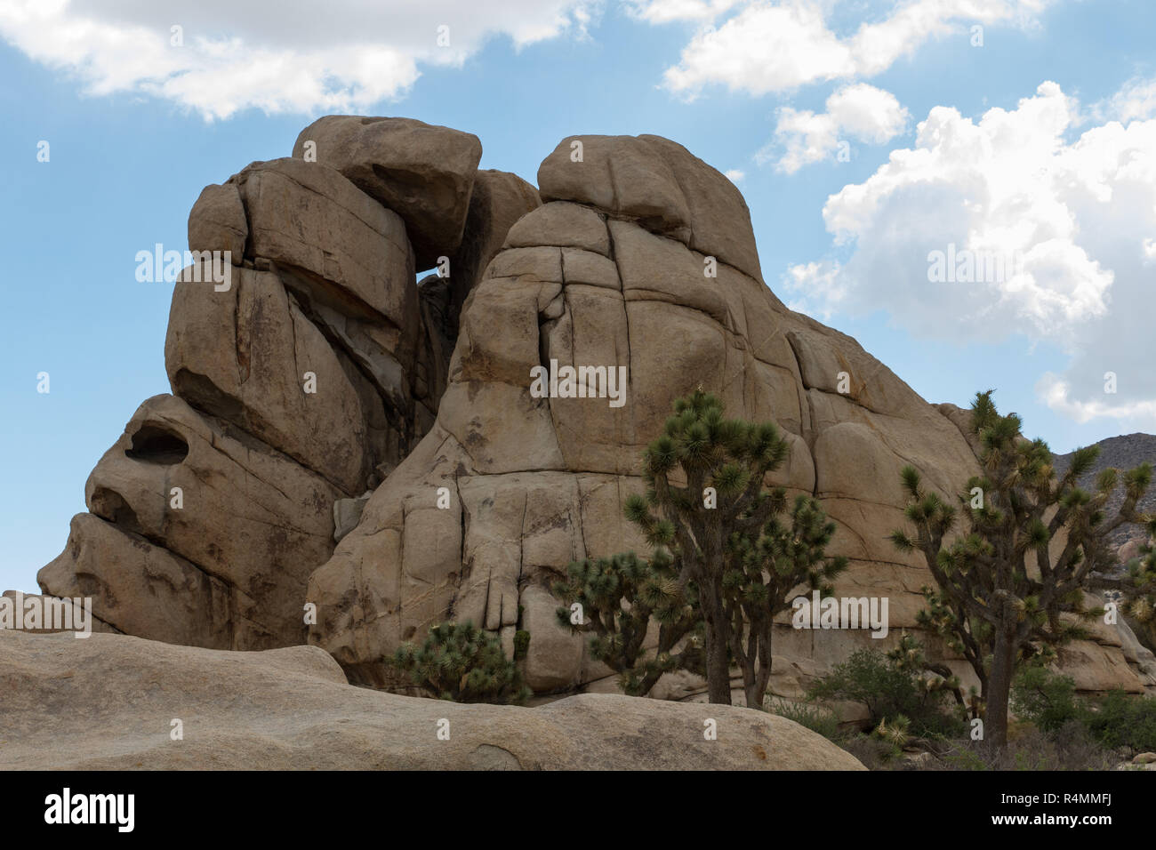 Joshua Tree NP 17 Stock Photo